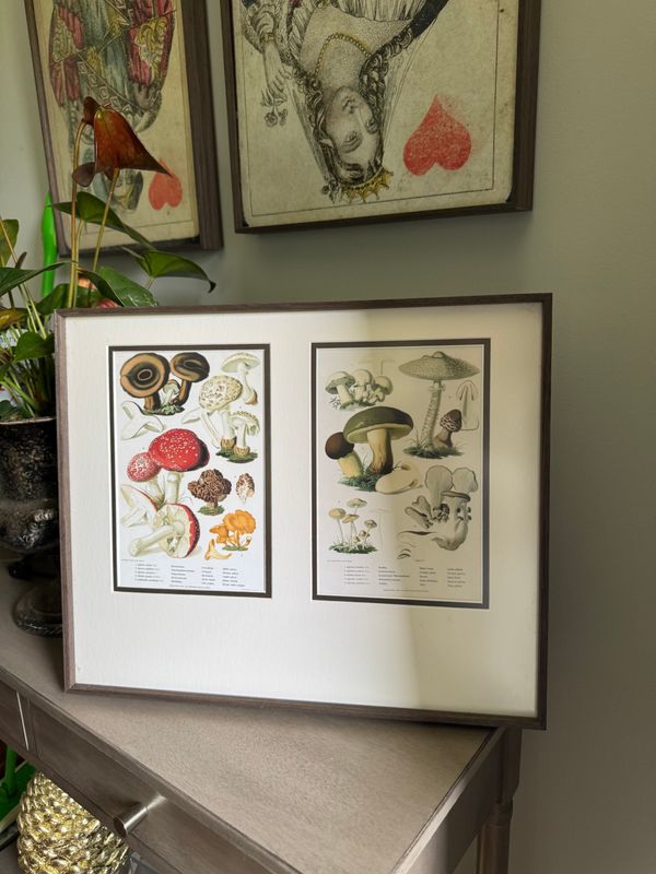 collage frame