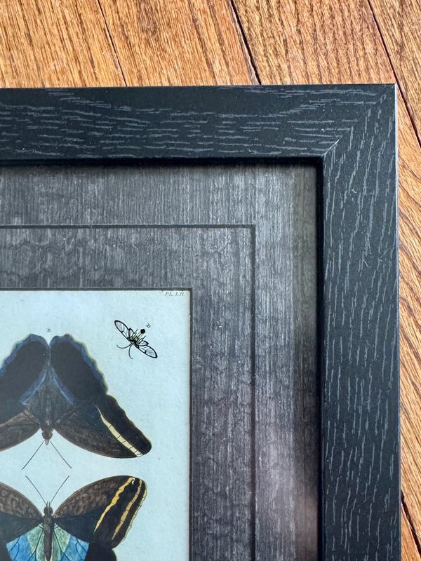 black frame with black matting